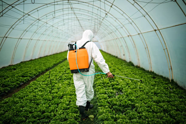 Best Best Pest Control Near Me  in Forest Heights, TX