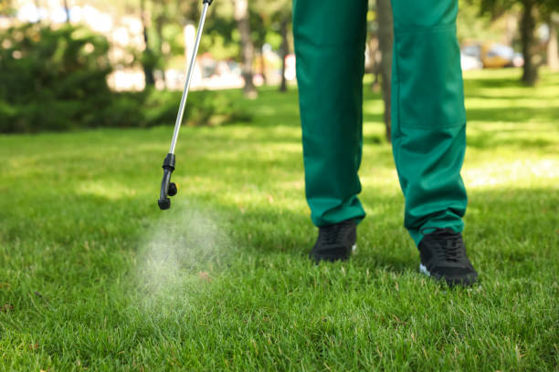Insect Control in Forest Heights, TX