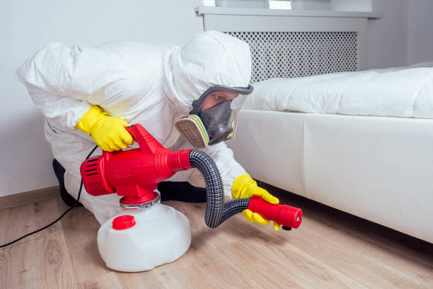 Best Pest Control for Businesses  in Forest Heights, TX