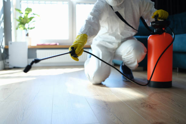 Best Residential Pest Control  in Forest Heights, TX