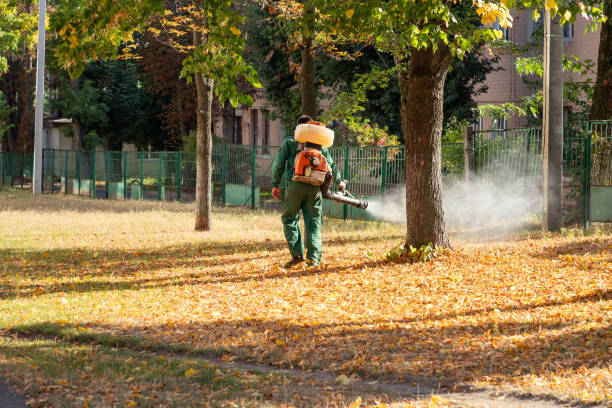 Best Rodent Control Near Me  in Forest Heights, TX